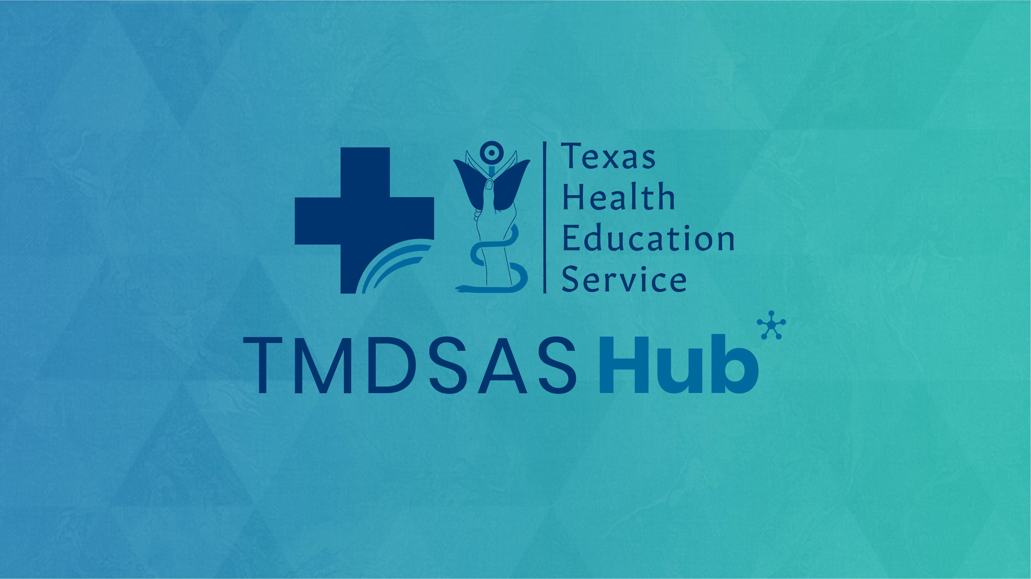 TMDSAS Hub Online Community Logo