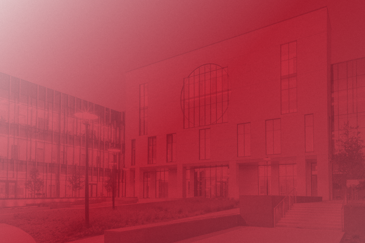 Austin skyline illustration